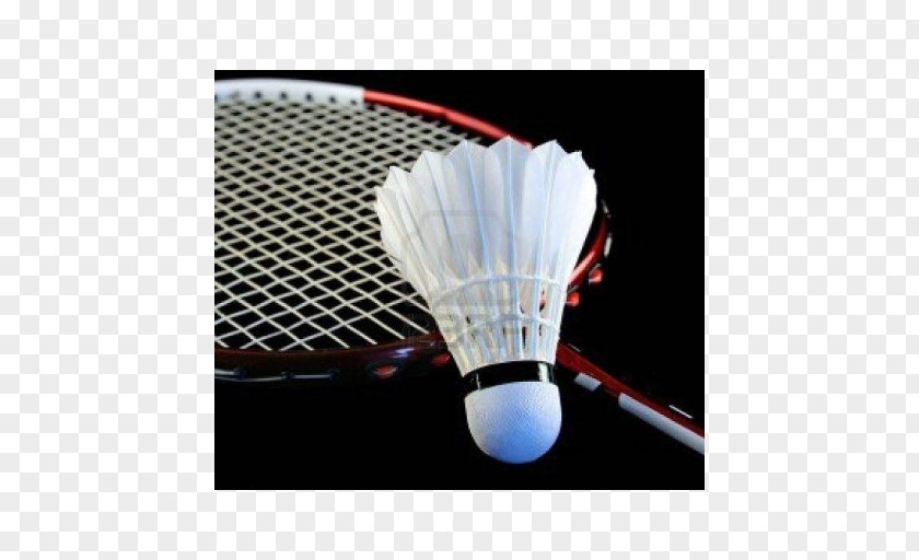 Badminton World Federation How To Play BWF Junior Championships Pakistan PNG