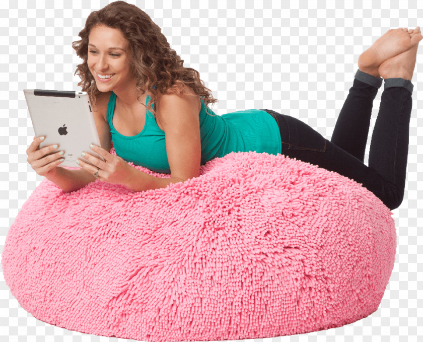 Bean Bag Chairs Couch Furniture PNG