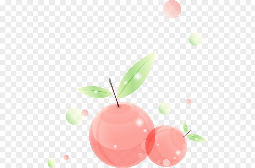 Cartoon Beautiful Apple Photography Illustration PNG