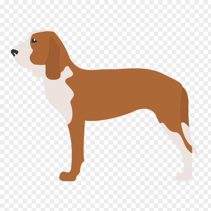Podenco Hunting Dog Kerry Blue Terrier Jack Russell Toy Fox English Cocker Spaniel PNG