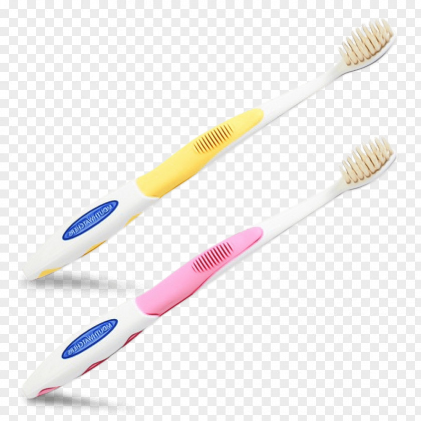 Tooth Hand Tool Brush Toothbrush Brushing Personal Care PNG