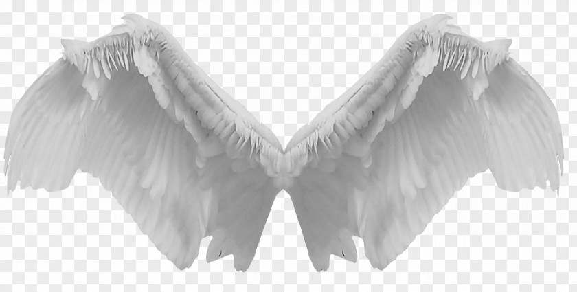 Wings DeviantArt Monochrome Photography PNG
