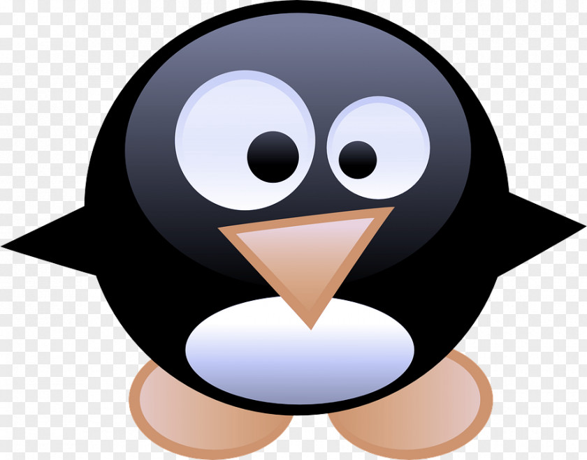 Cartoon Bird Penguin PNG