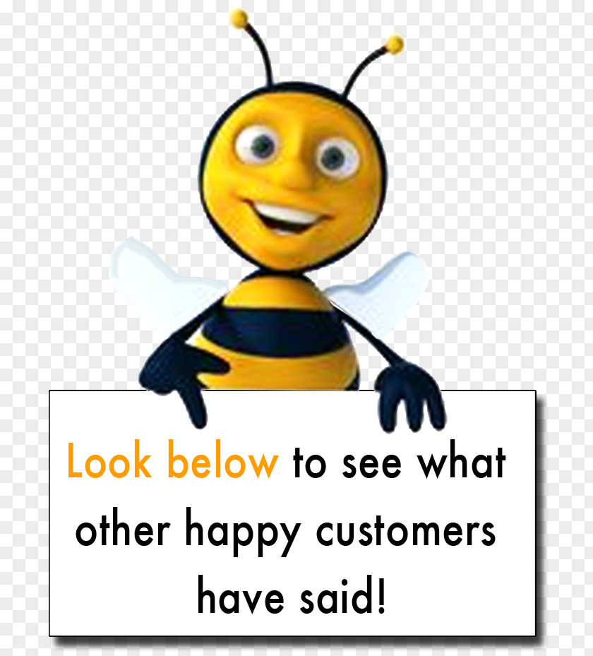 Feedback Review Scripps National Spelling Bee B&B Le Api Cagliari Stock Photography PNG