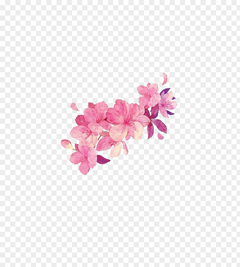 Free Pink Flower Matting Watercolor Painting PNG