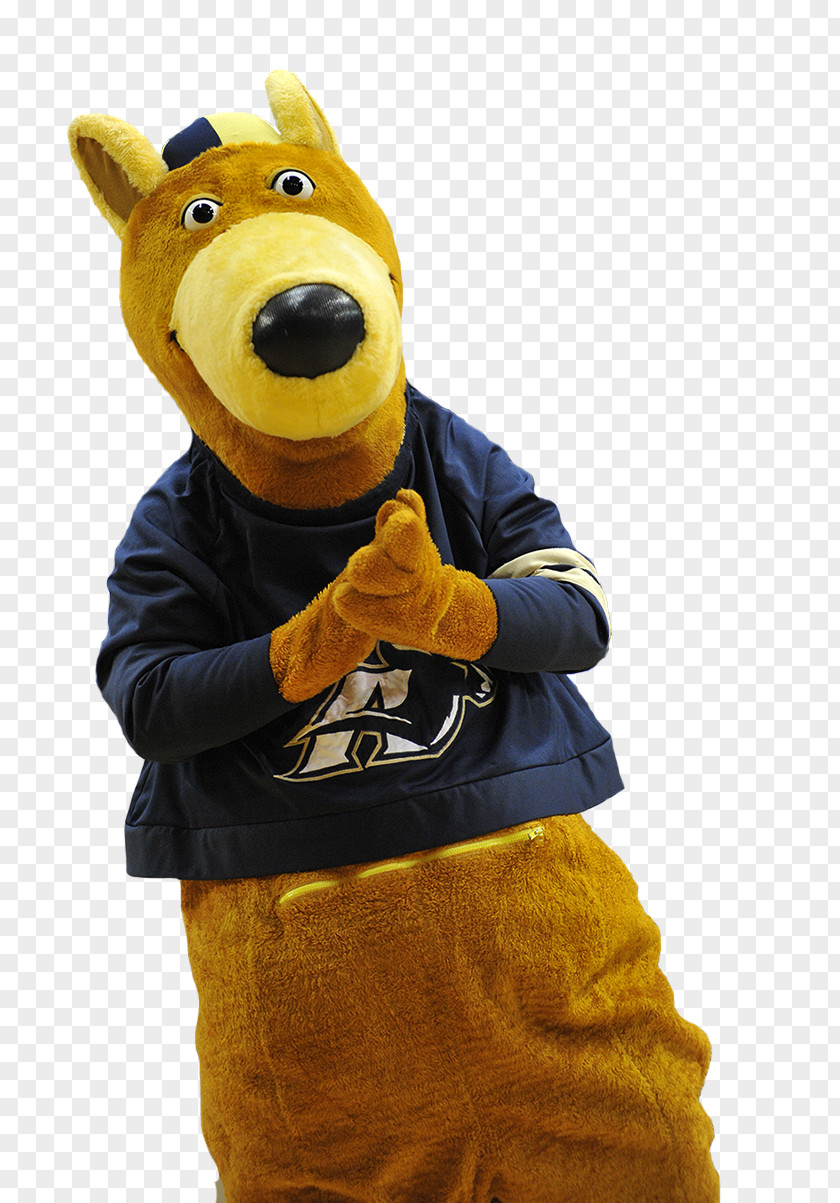 Halftime University Of Akron Zips Football Mascot Zippy PNG