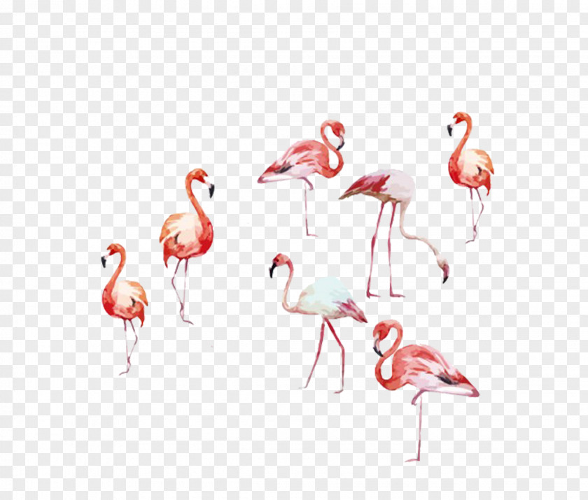 Seven Different Forms Of Flamingos Flamingo Watercolor Painting Art Illustration PNG