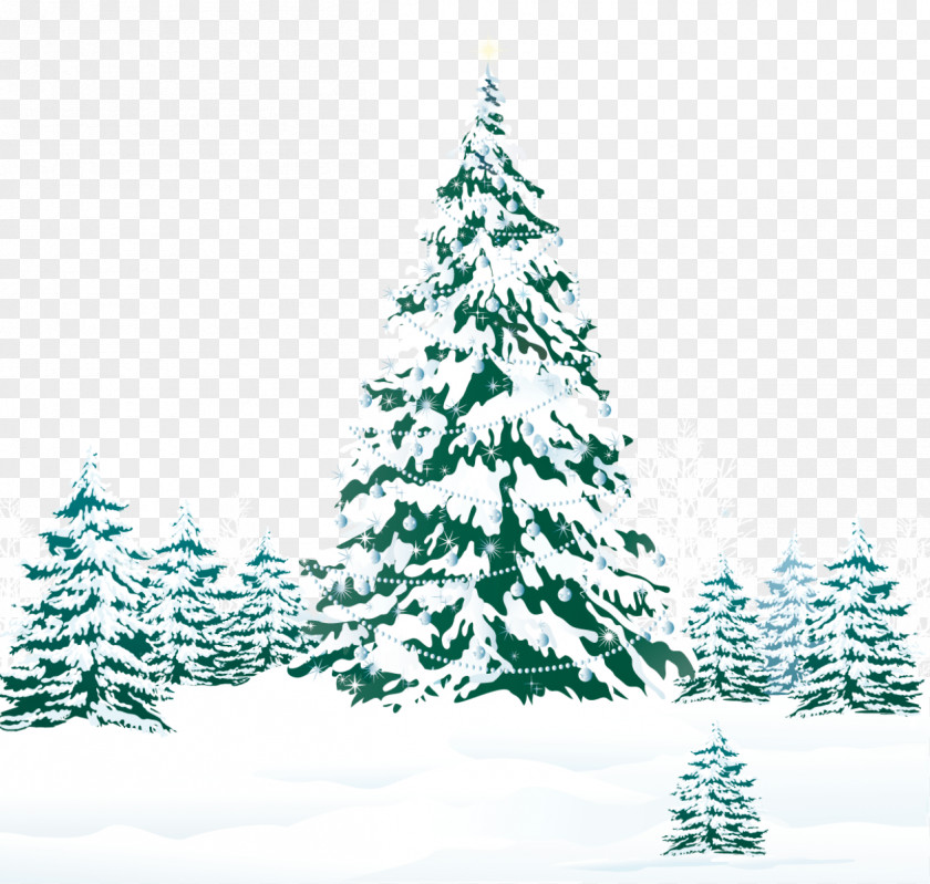 Snowy Winter Ground With Trees Clipart Image Christmas Tree Pine Snow PNG
