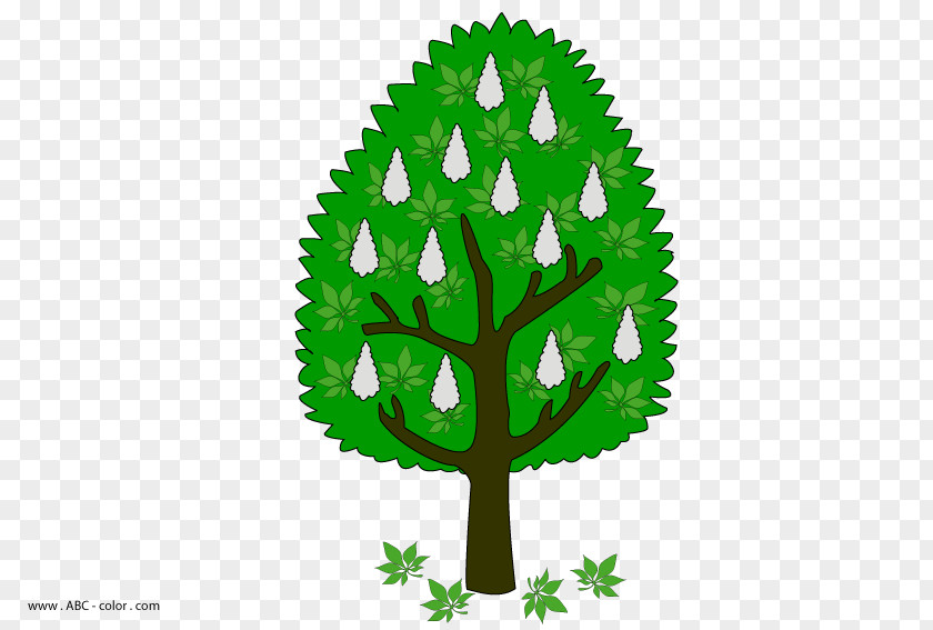 Tree Leaf Plant Stem Font PNG