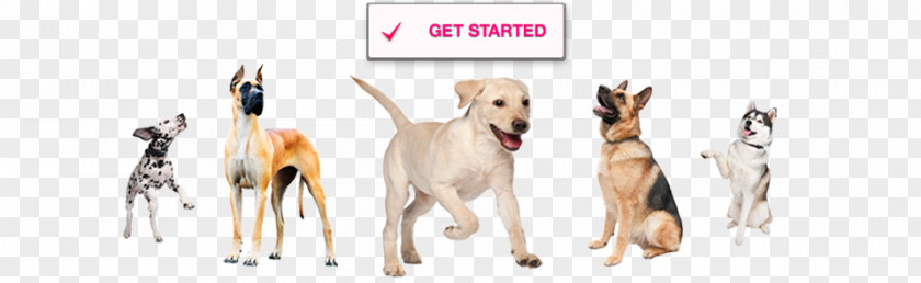 Walking Dog Breed Toys Rubber PNG