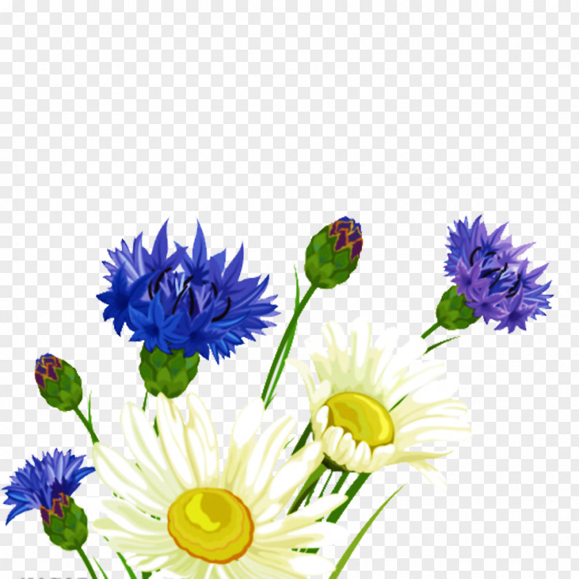 White Purple Flower Bouquet PNG