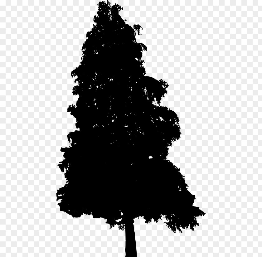Blackandwhite Cypress Family Christmas Black And White PNG