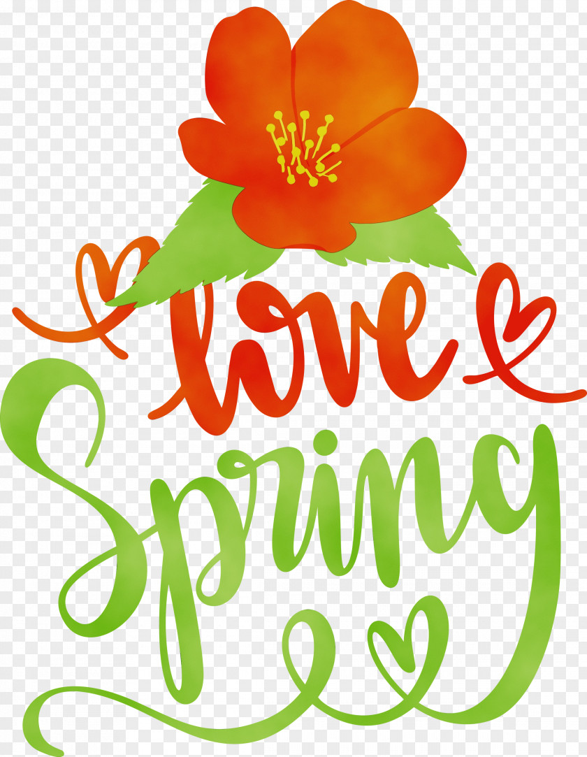 Floral Design PNG