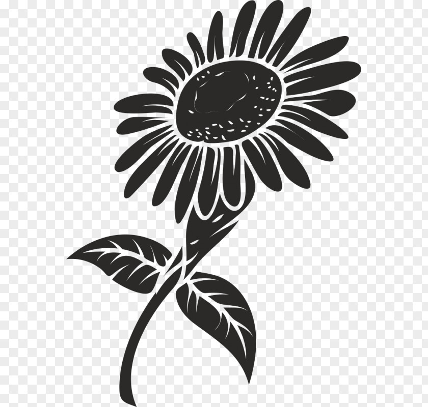 Flower Vector Graphics Royalty-free Image Common Sunflower Clip Art PNG