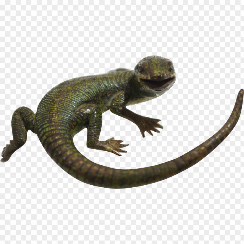 Lizard Common Iguanas Agama Reptile PNG