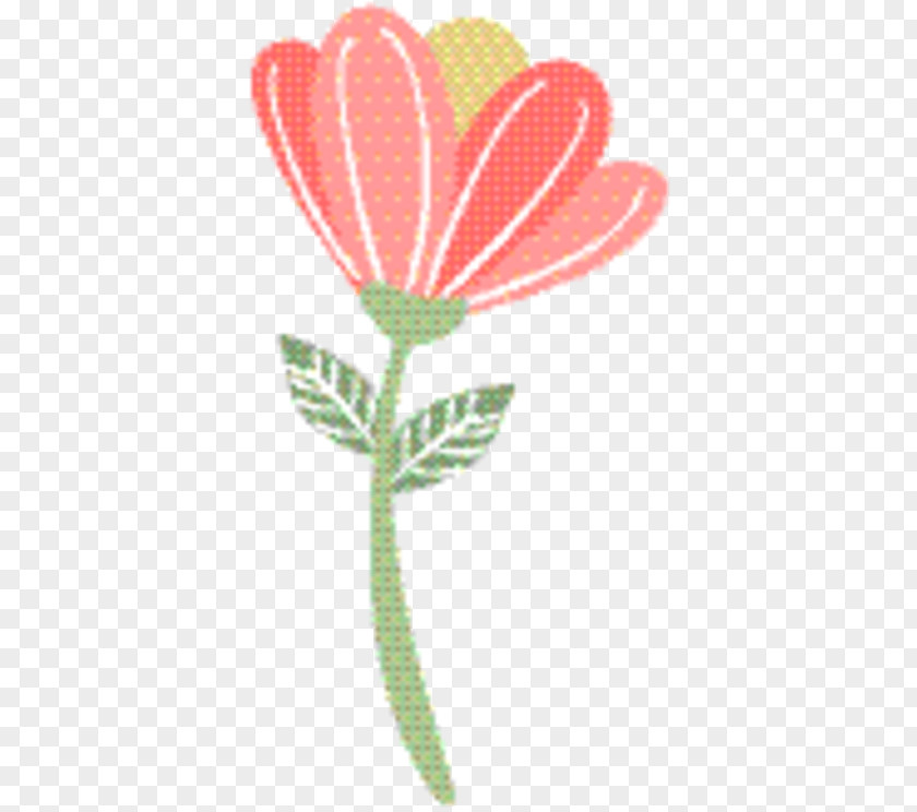 Pedicel Anthurium Pink Flower Cartoon PNG