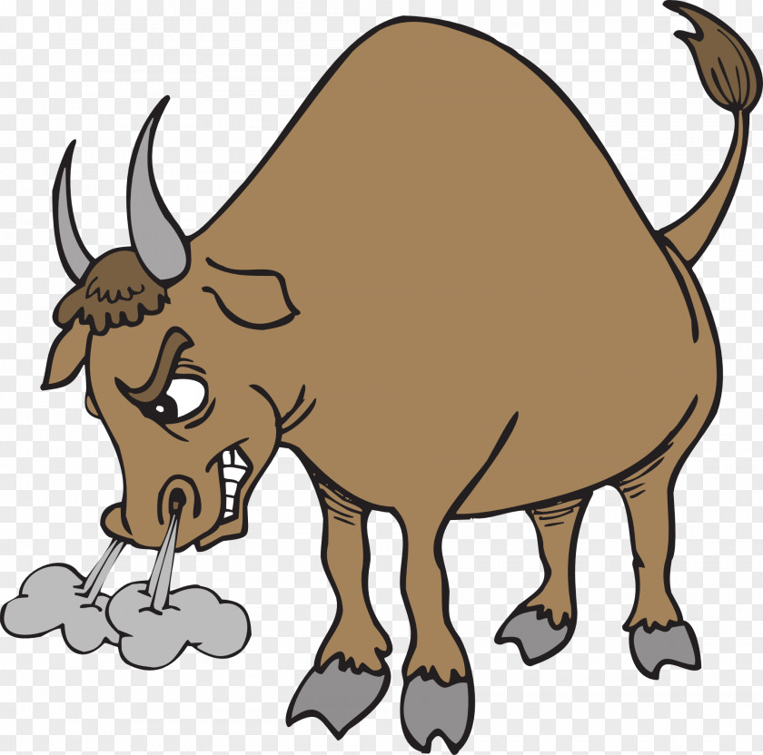 Raging Bull Hereford Cattle Texas Longhorn Clip Art PNG