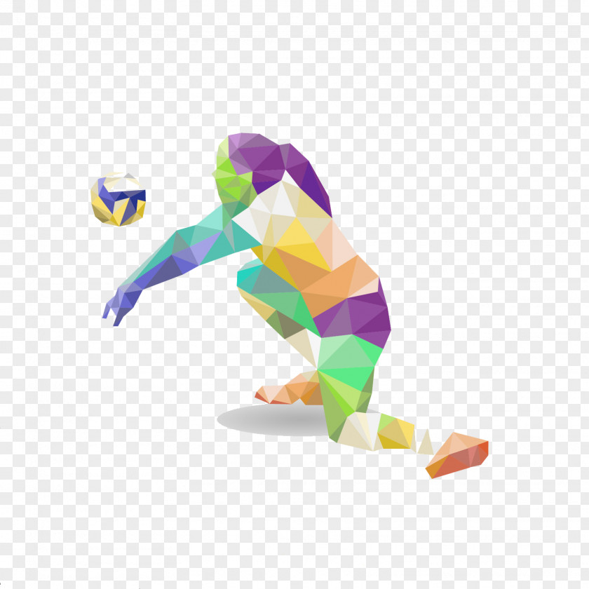 Volleyball Sport Athlete Basketball PNG