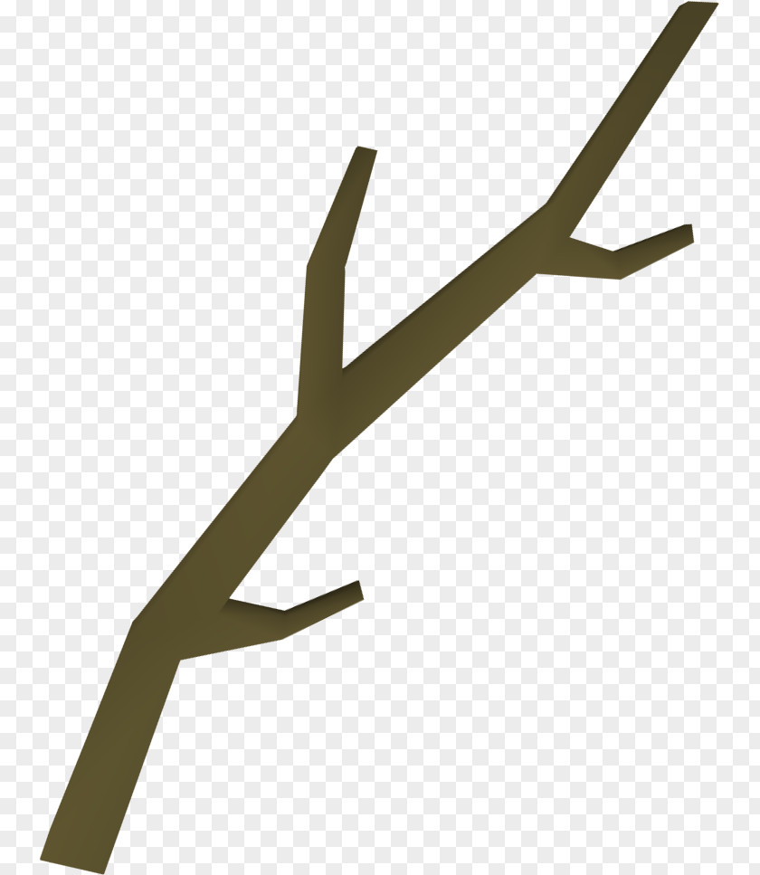 Branch Tree Clip Art PNG