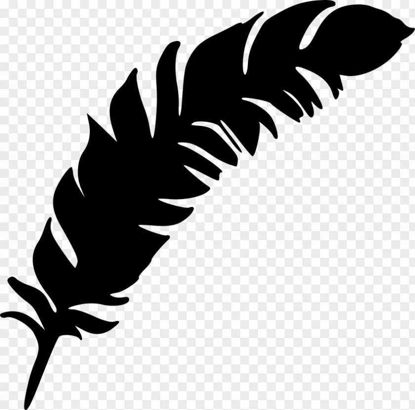 Clip Art Feather Leaf Plant Stem Beak PNG