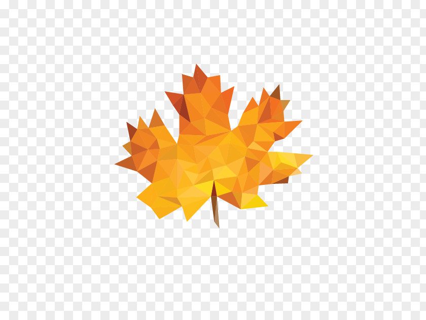 Design Maple Leaf Clip Art Image PNG