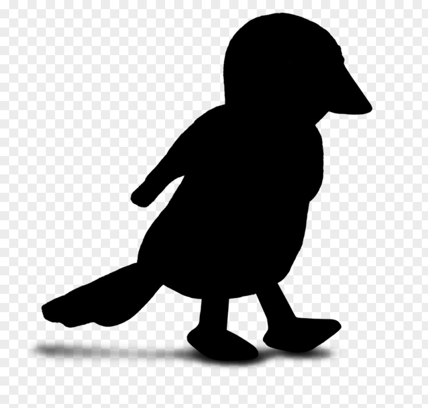 Duck Bird Clip Art Beak Silhouette PNG