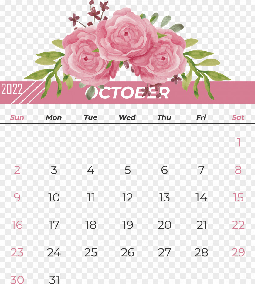 Floral Design PNG