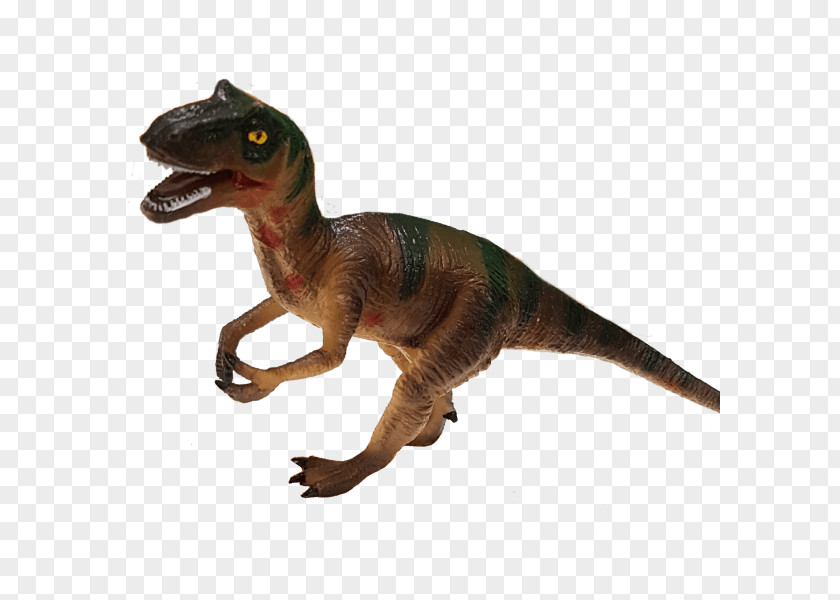Allosaurus Velociraptor Tyrannosaurus Animal PNG