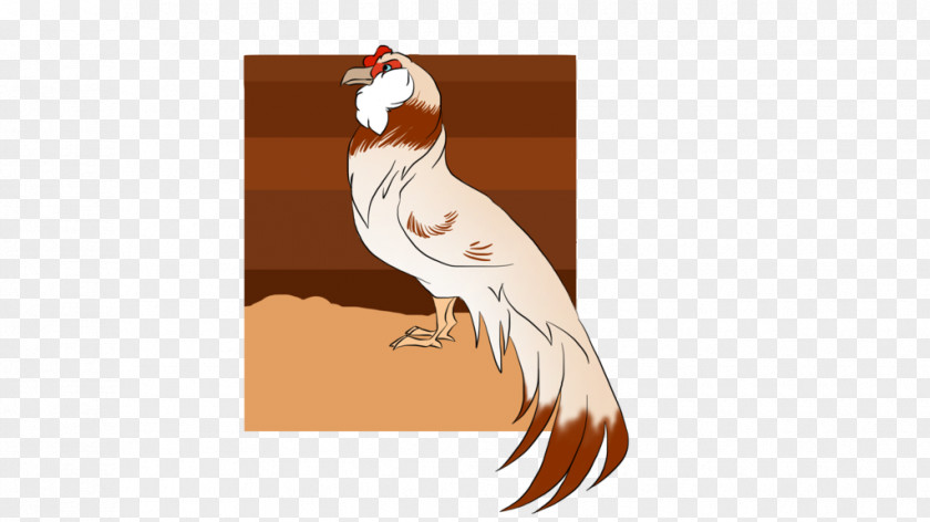 Bird Rooster Of Prey Beak Cartoon PNG