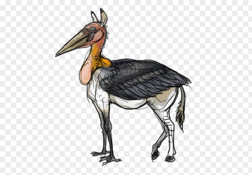 Chicken Bird Crane Goose Cygnini PNG