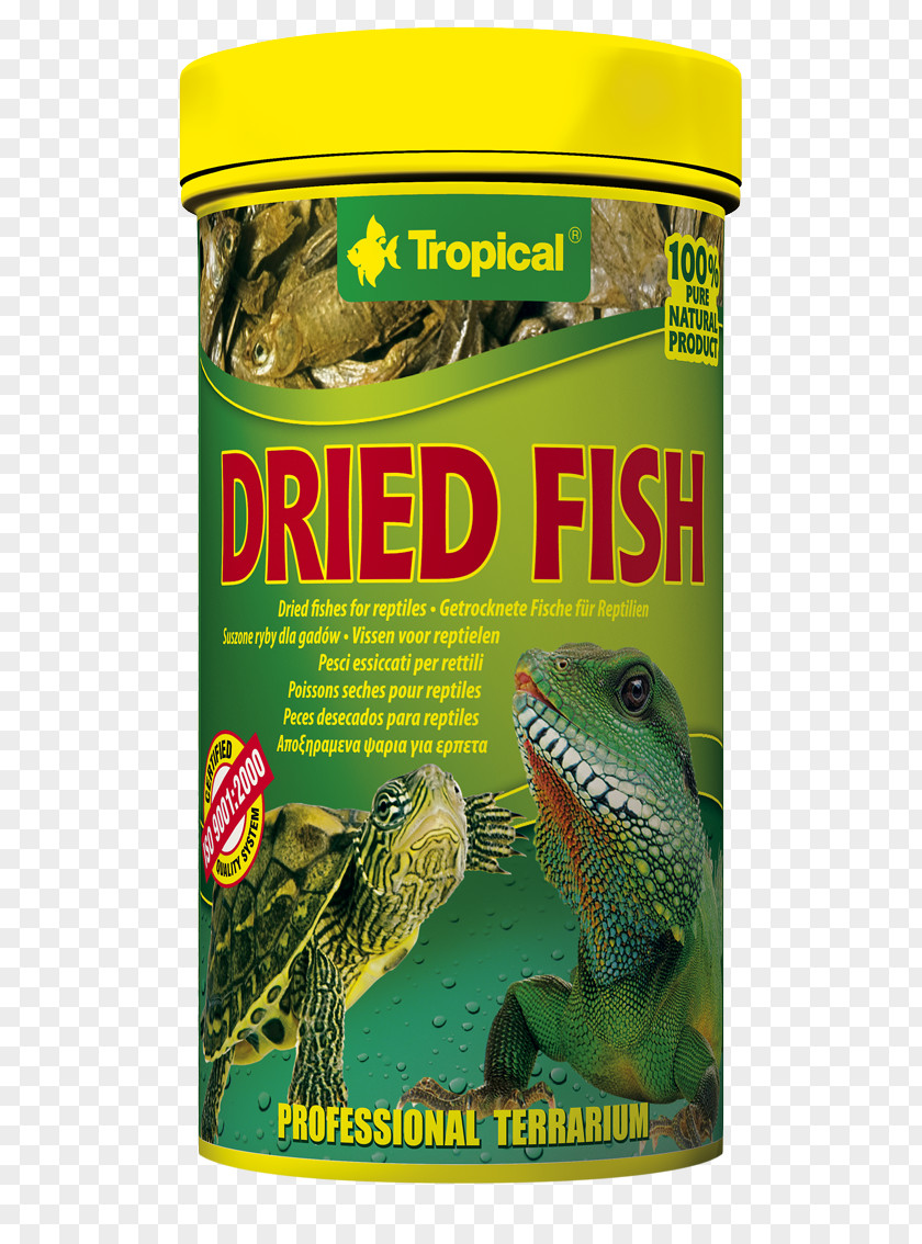 Dry Fish Reptile Turtle Mealworm Drying PNG