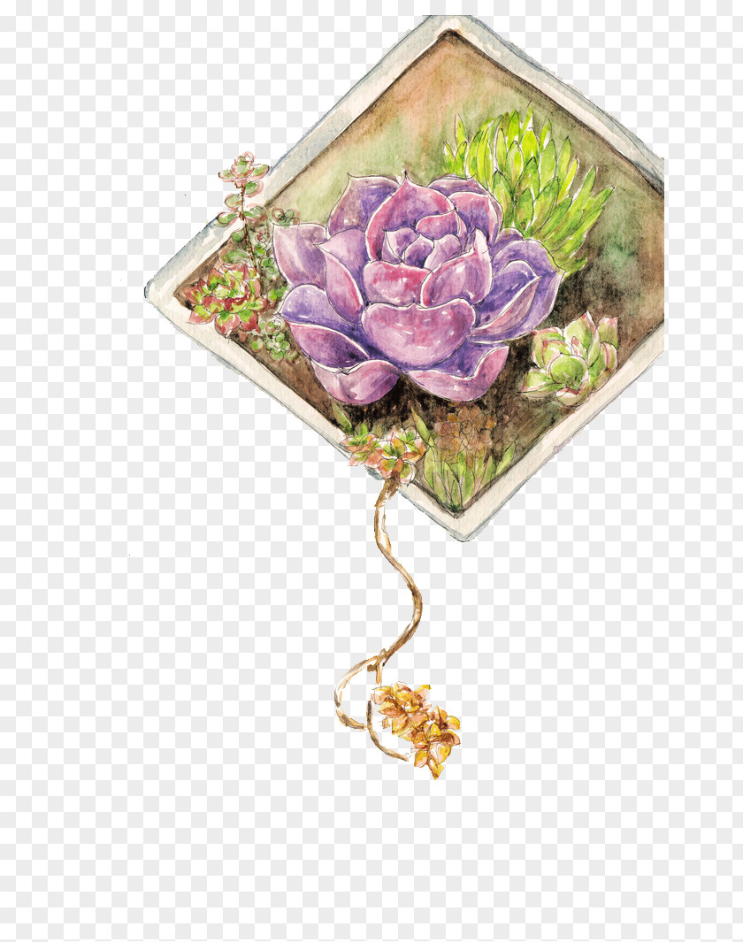 Multi-pearl Purple Pearl Rose Succulent Plant PNG