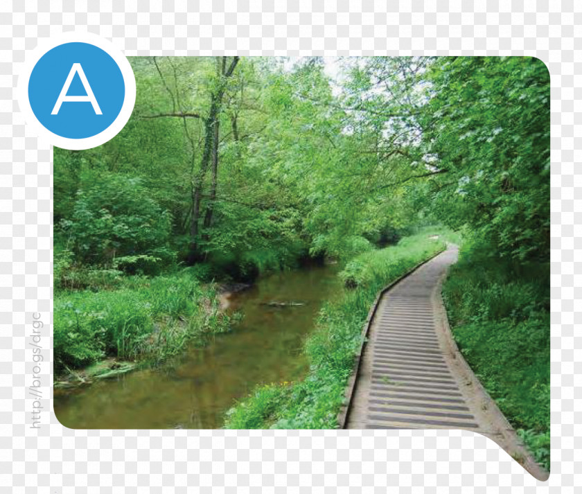 North Yorkshire Moors Railway York Forge Valley National Park Nature Reserve PNG