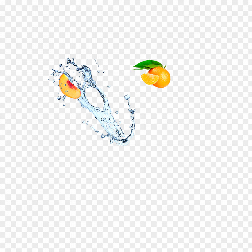 SODA Bird Desktop Wallpaper Water Font PNG