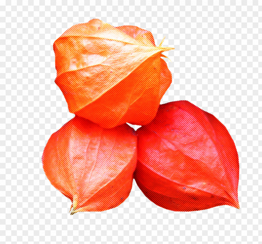 Vegetable Vegetarian Food Orange PNG