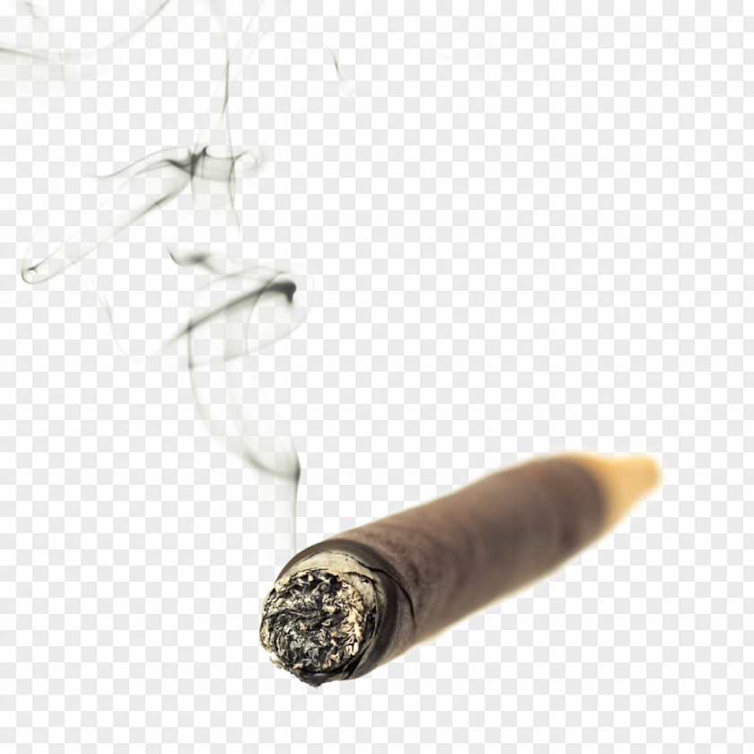 Cigarette Smoking Stock Photography Ashtray PNG photography Ashtray, Cigar and smoke, brown cigarette butt clipart PNG