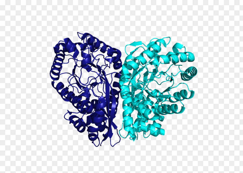 Enzymes Pennant Methylaspartate Ammonia-lyase L-threo-3-Methylaspartate Enzyme PNG