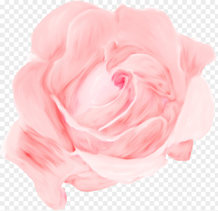 Hansel And Gretel Garden Roses Cabbage Rose Floribunda Naver Blog Petal PNG