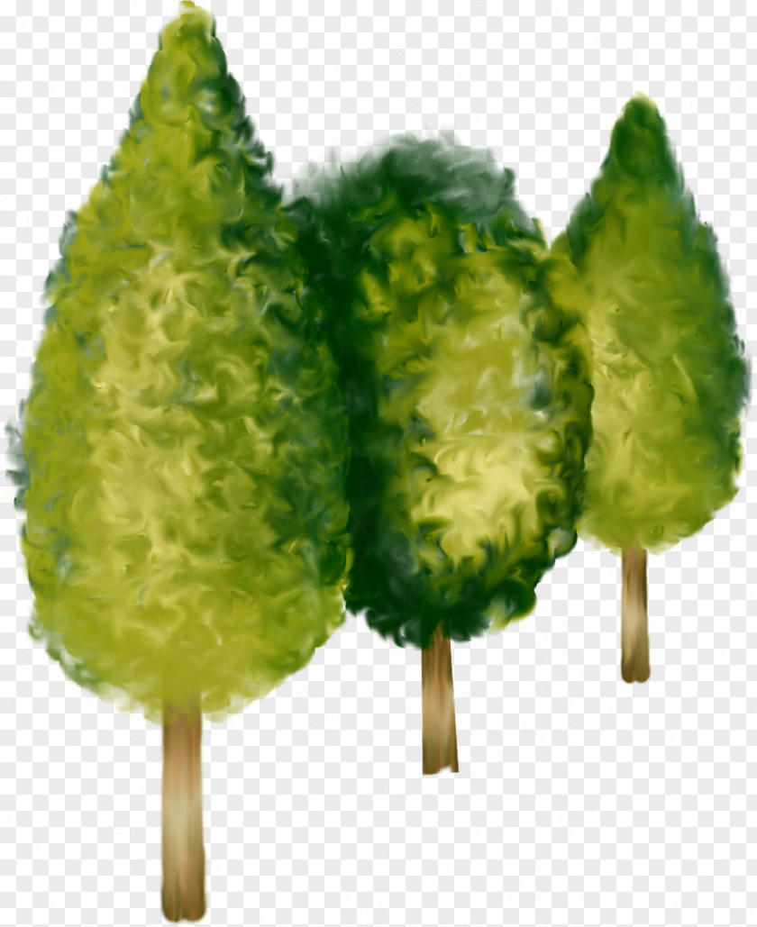 Broccoli Tree Light Shrub Clip Art PNG