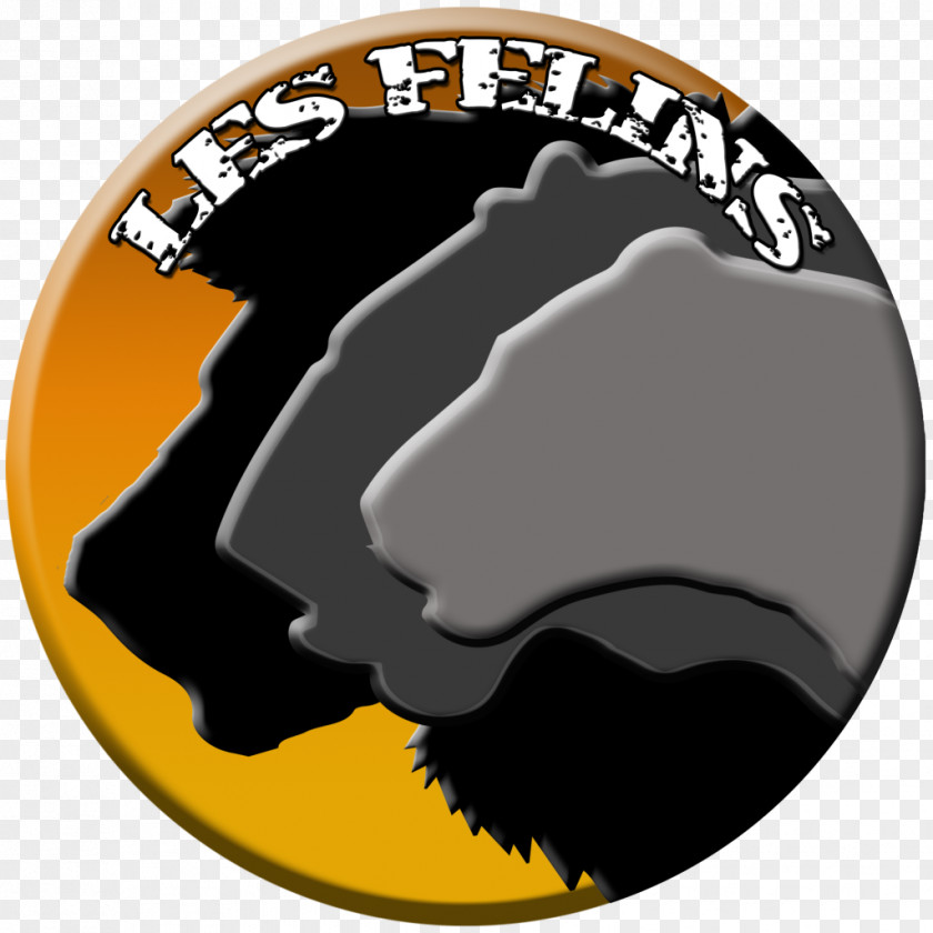 Felidae Logo Brand Text Font PNG