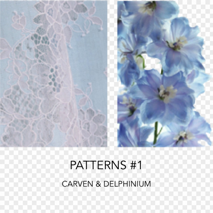 Gustave Le Bon Sky Blue Floral Design J'aimerais Trop Violet PNG