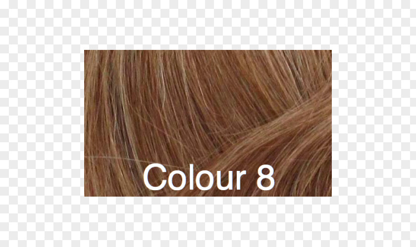Hair Brown Coloring Caramel Color PNG