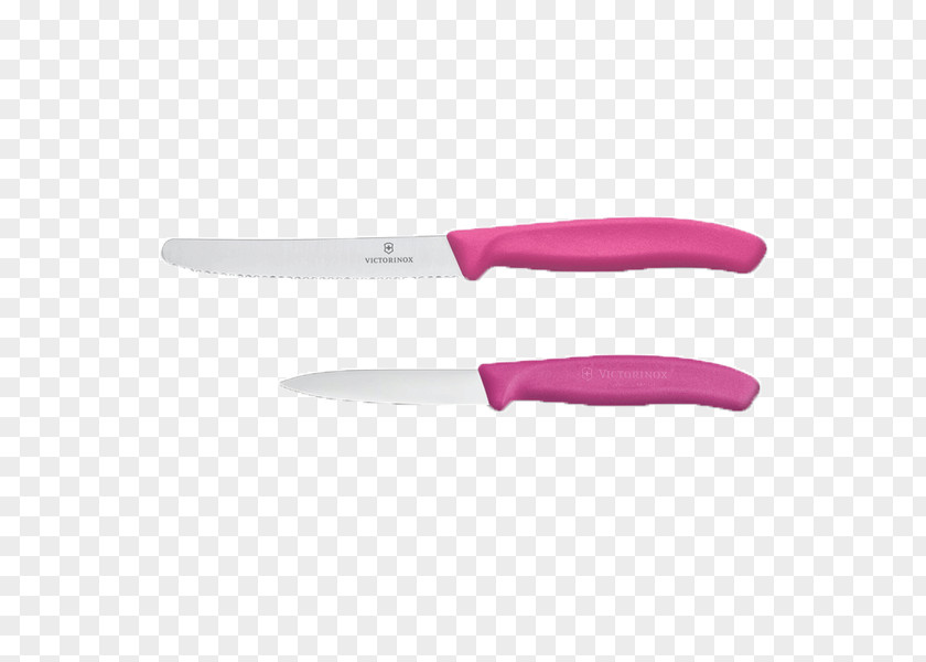 Knife Kitchen Knives Utility Victorinox PNG