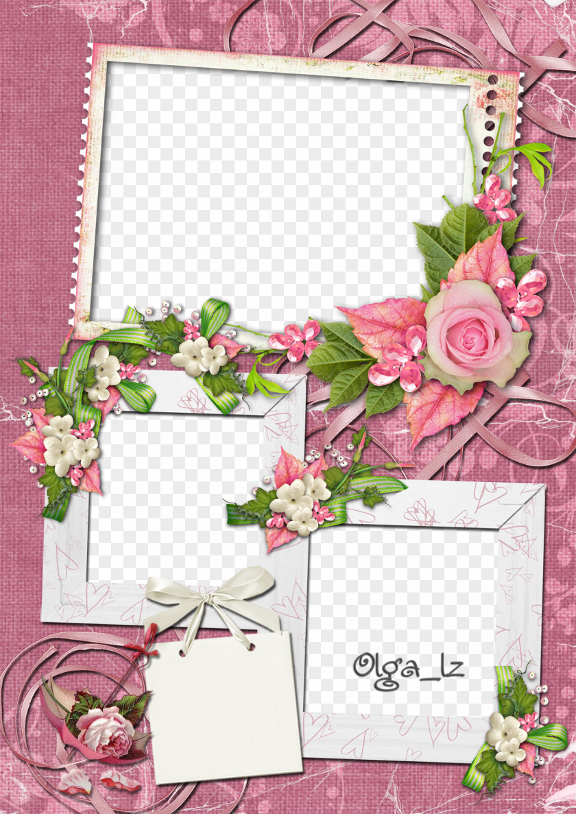 Mood Frame Pictures Picture Photography PNG