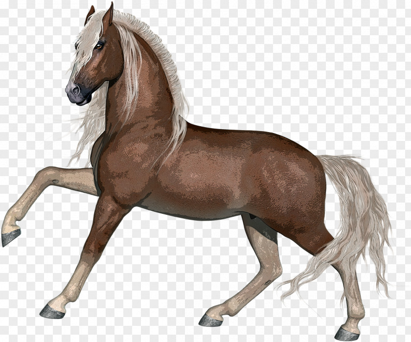 Mustang Horse Liver Animal Figure Mane Stallion Mare PNG