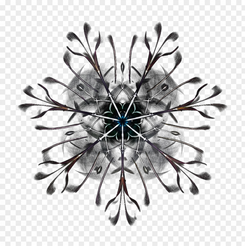 Symmetry Brooch Fashion Accessory Jewellery PNG