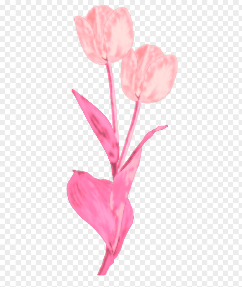 Watermark Flowers Tulip Cut Rose Family Petal Plant Stem PNG