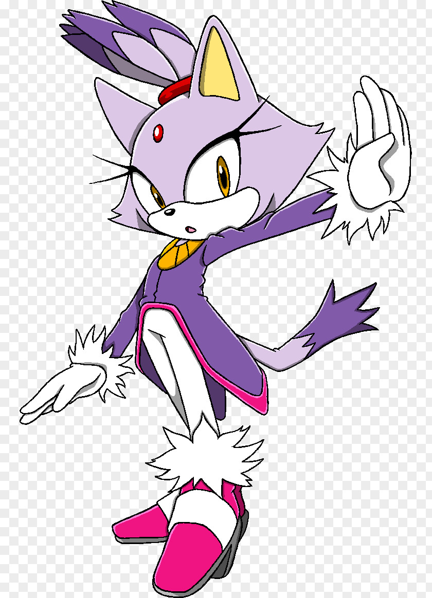 Blaze Sonic Rush The Hedgehog Cat Nellie Brie PNG