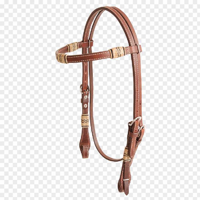 Bridle Inlay Rein Rawhide Sport PNG