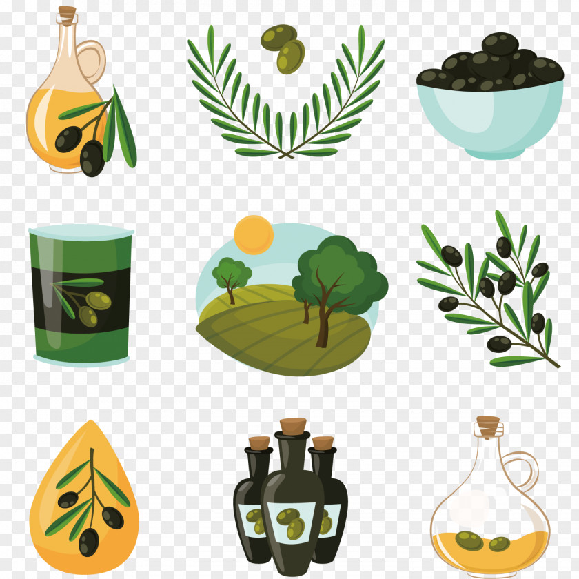 Cartoon Olive Oil Production Branch PNG
